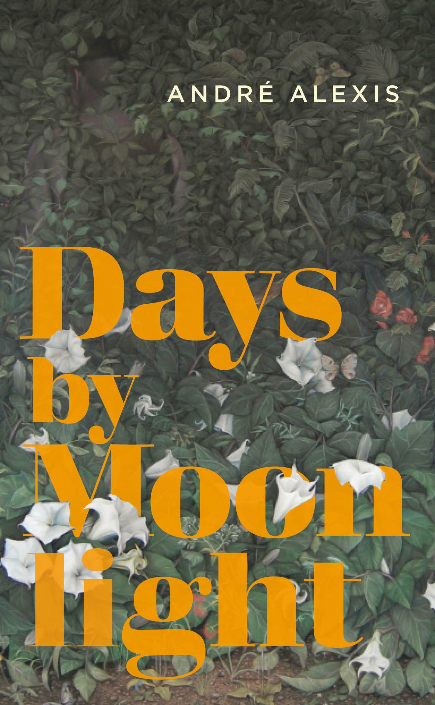 Days by Moonlight - Agricola Street Books