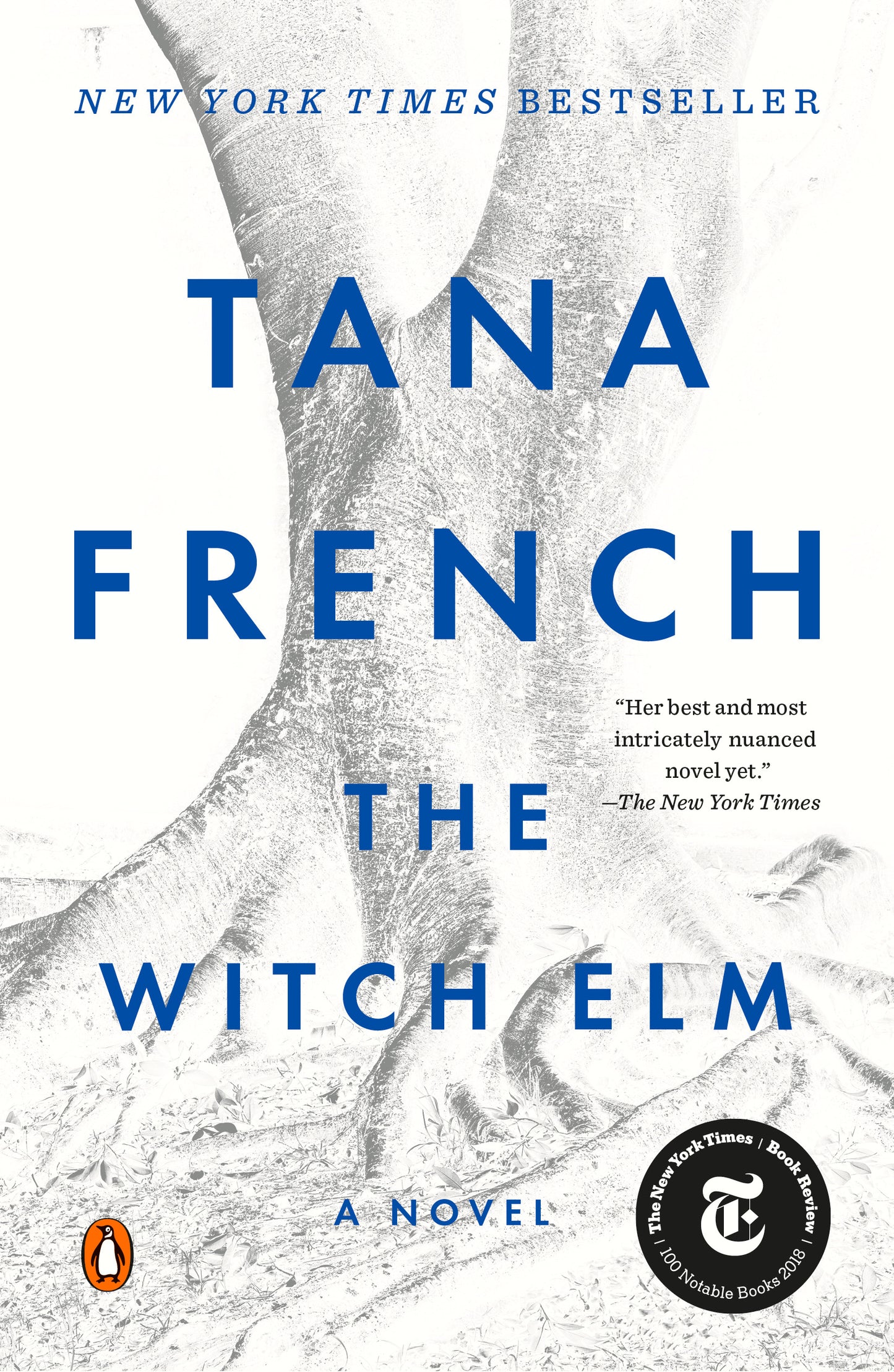 The Witch Elm DNS - Agricola Street Books