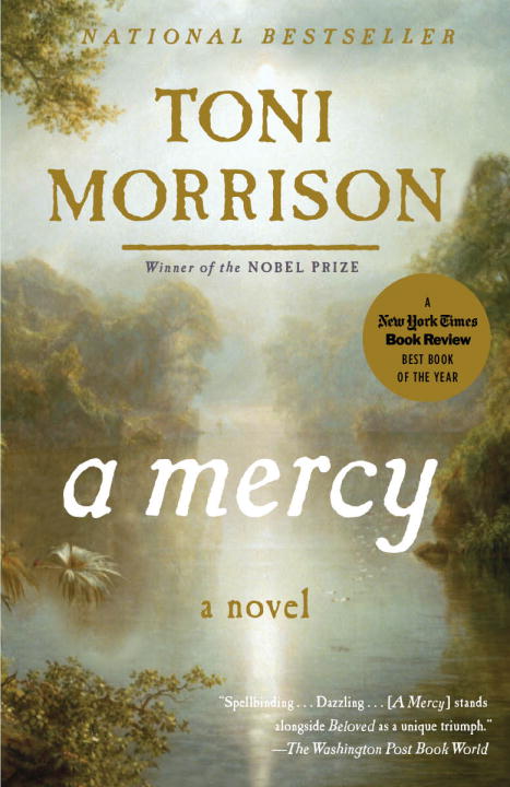 A Mercy - Agricola Street Books