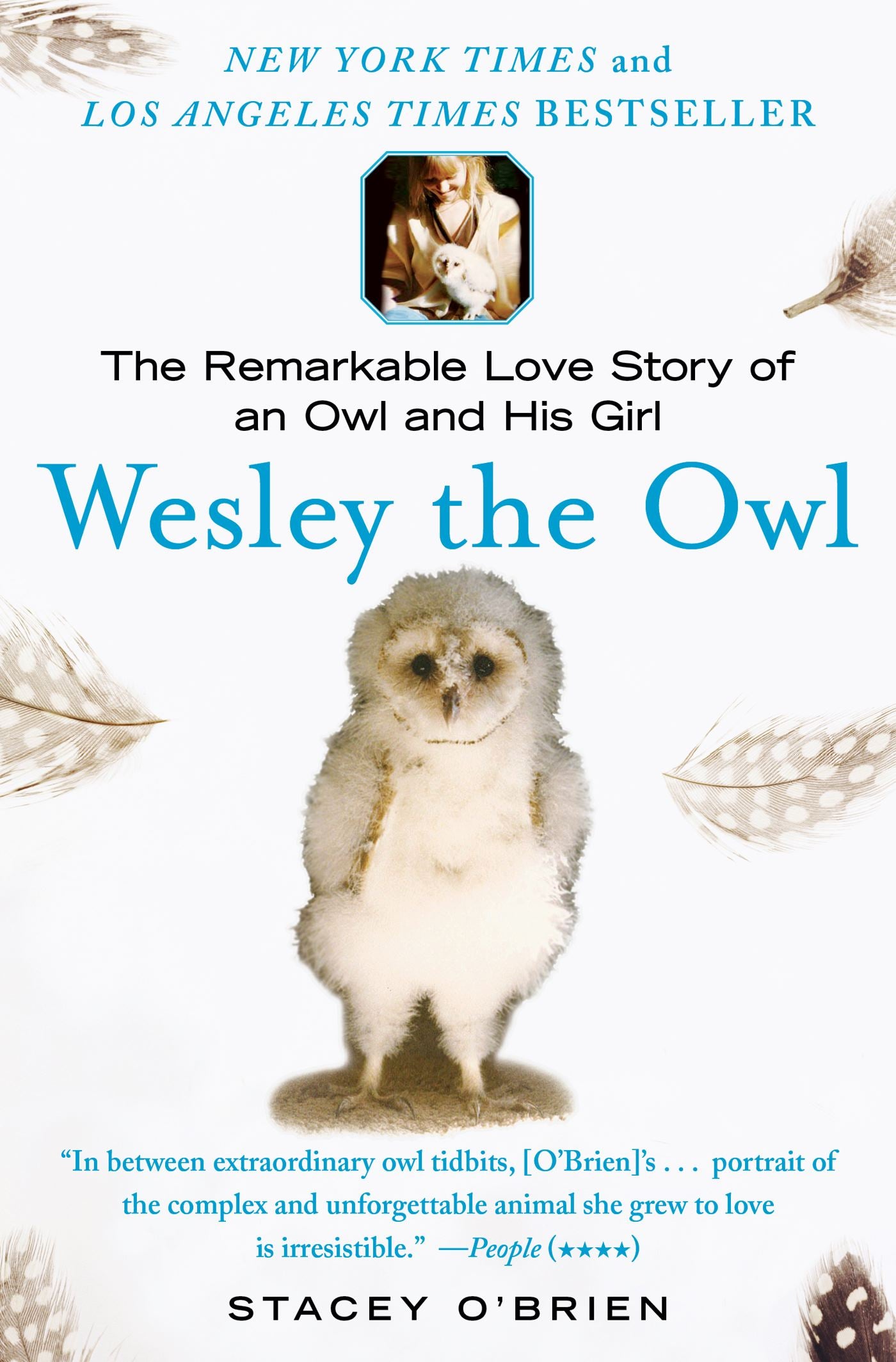 Wesley the Owl - Agricola Street Books