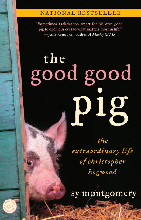 The Good Good Pig - Agricola Street Books
