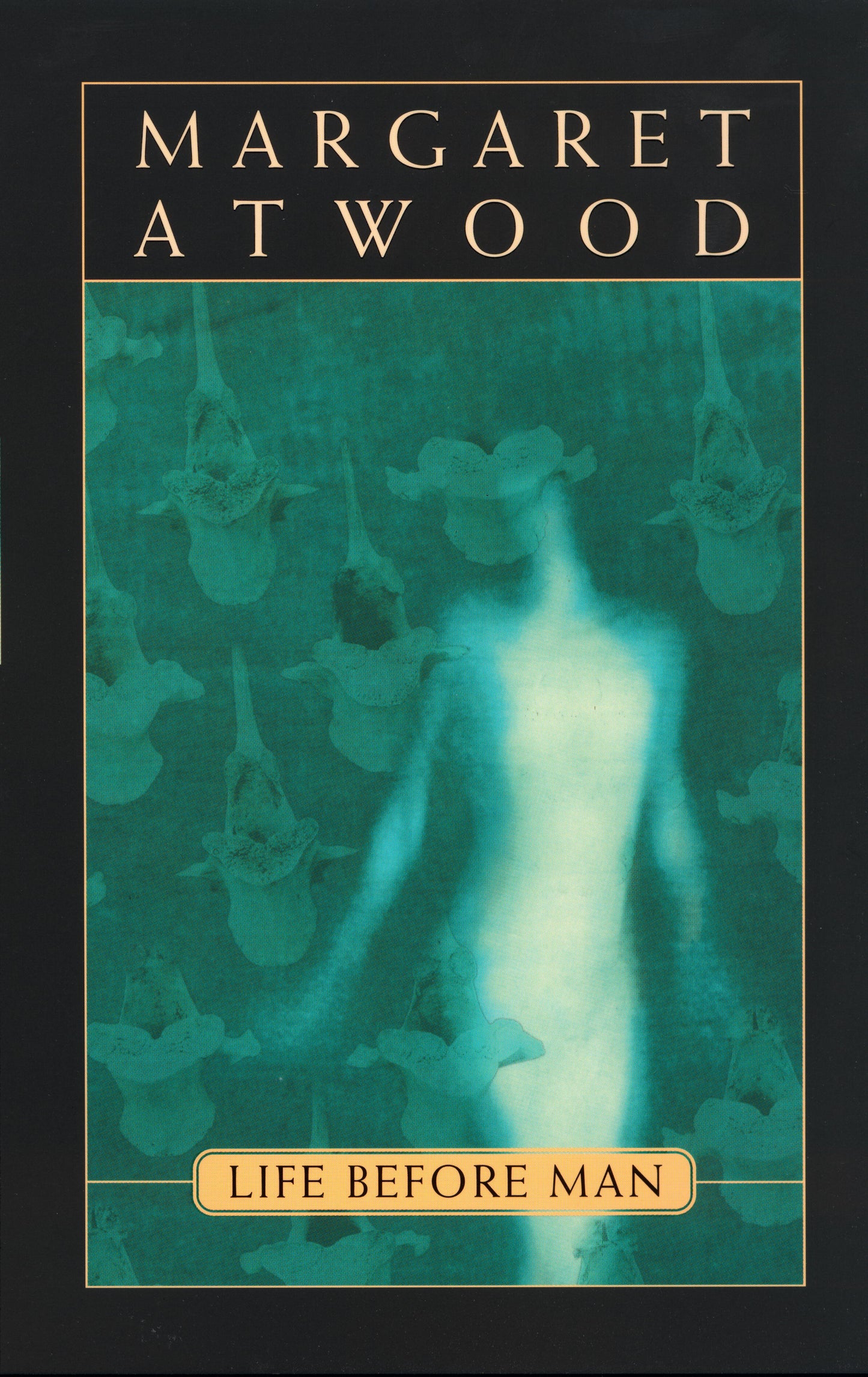 Life Before Man - Agricola Street Books