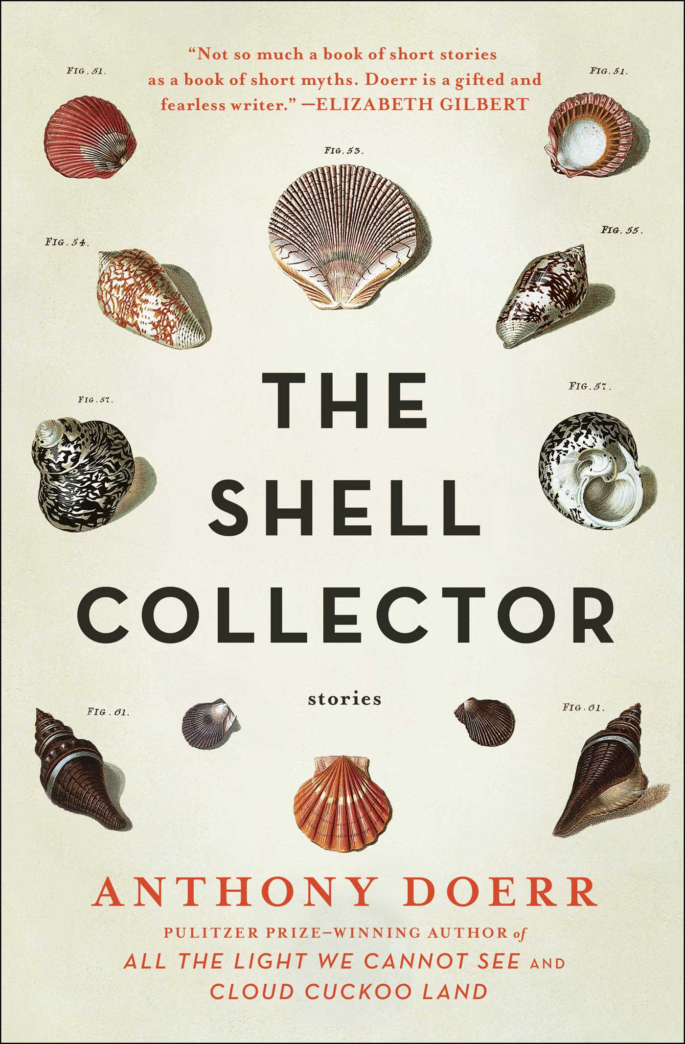 The Shell Collector - Agricola Street Books