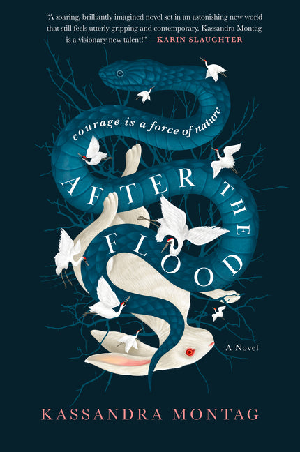After the Flood - Agricola Street Books