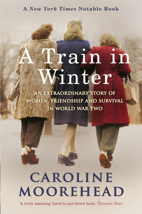 A Train in Winter - Agricola Street Books