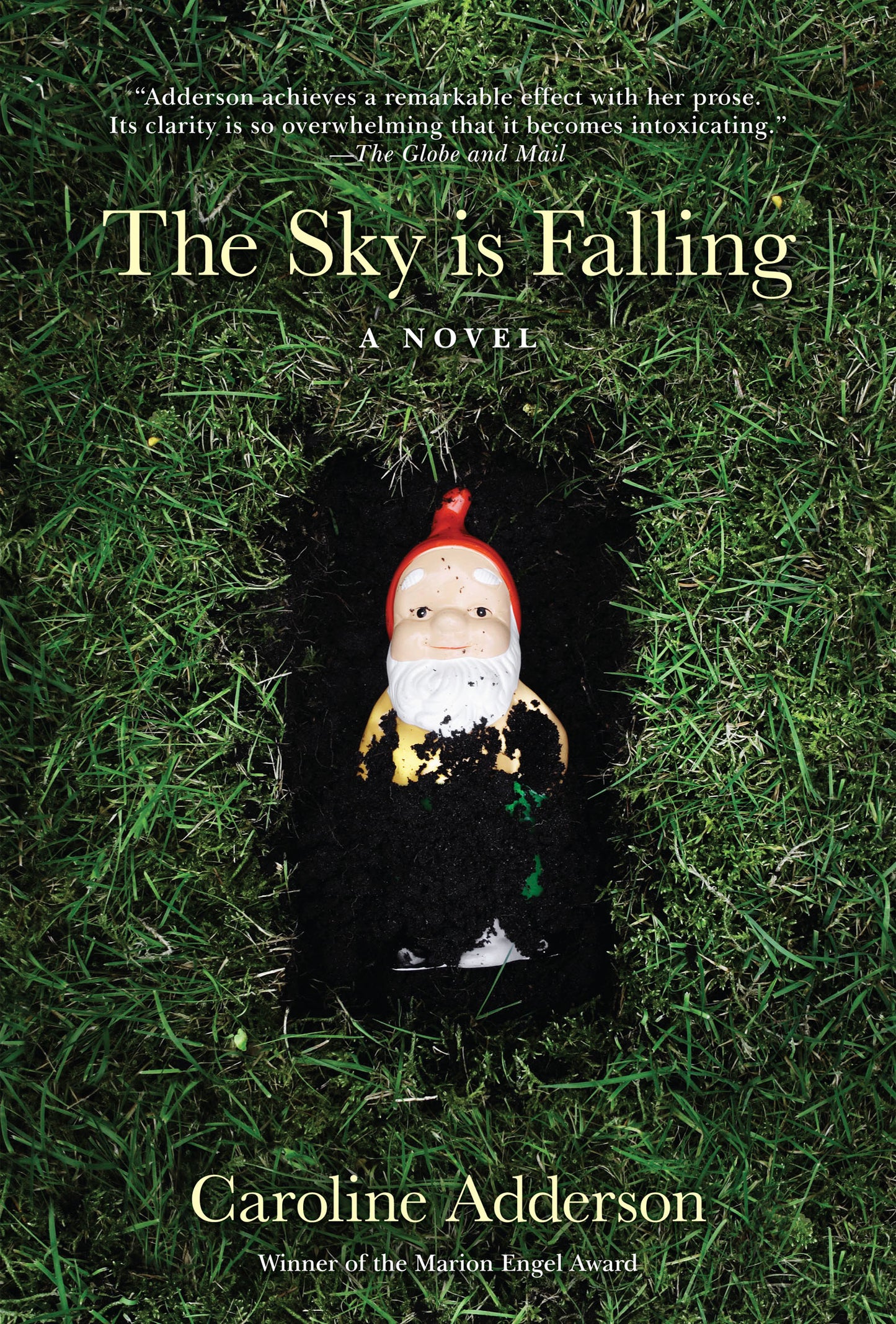 The Sky Is Falling - Agricola Street Books