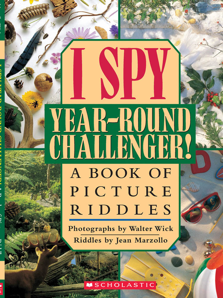 I Spy Year Round Challenger - Agricola Street Books