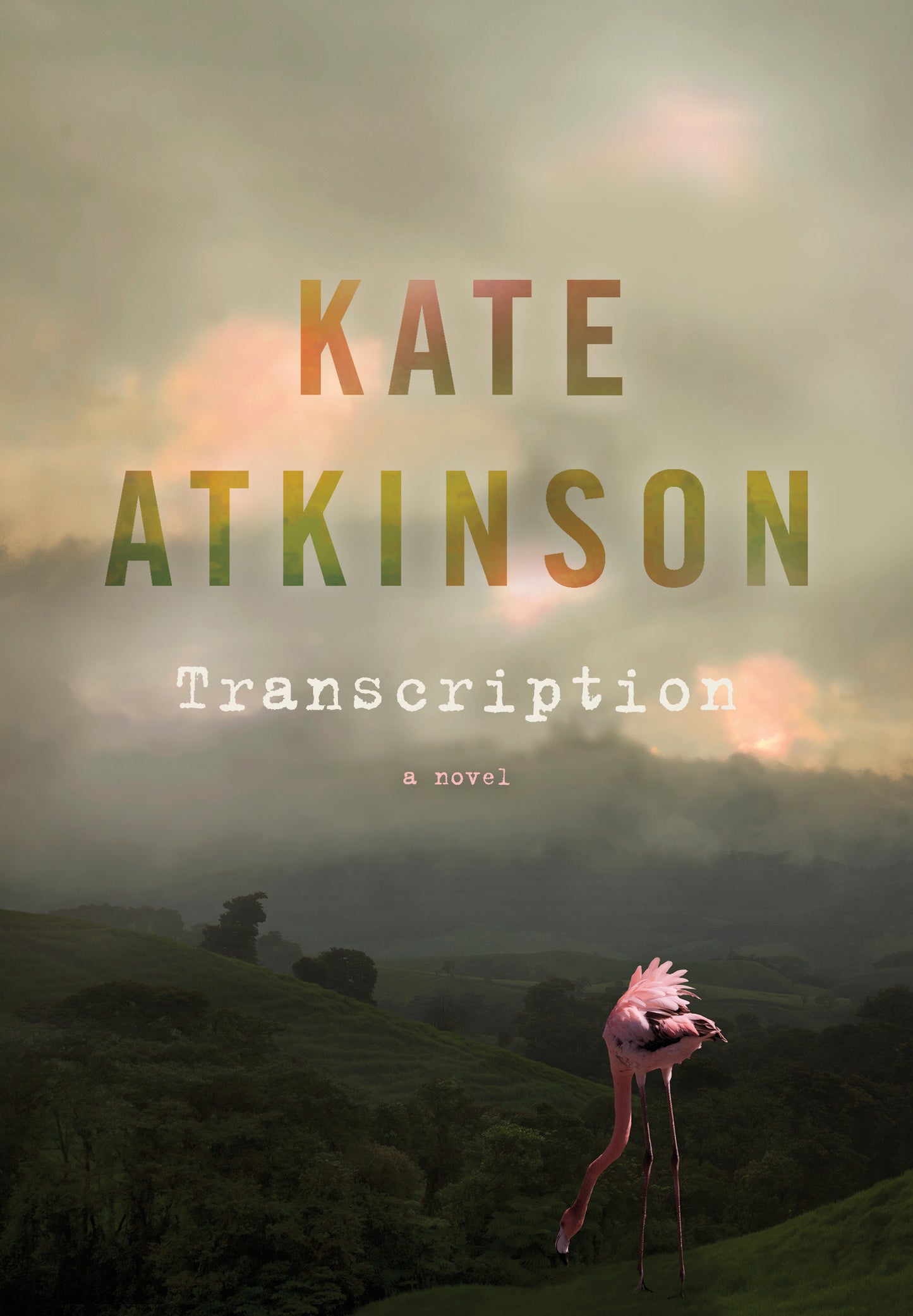 Transcription - Agricola Street Books
