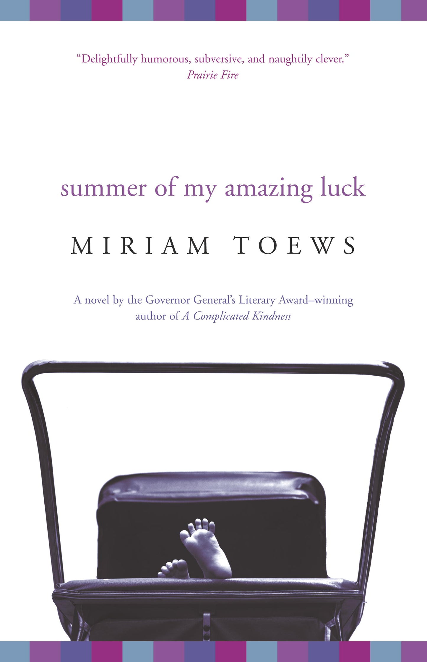 Summer of My Amazing Luck - Agricola Street Books