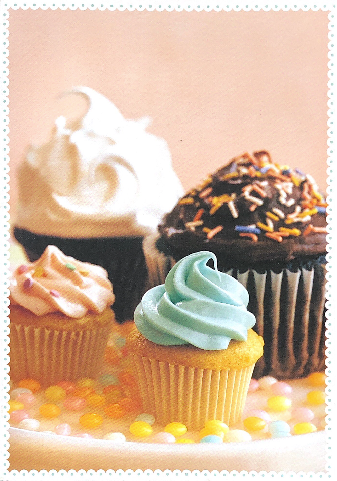 Cupcake Blank Journal - Agricola Street Books