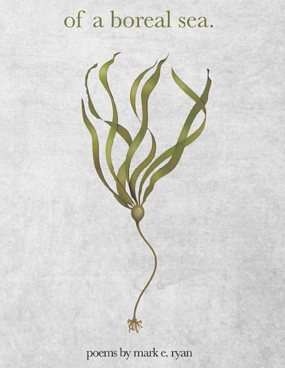 of a boreal sea. - Agricola Street Books