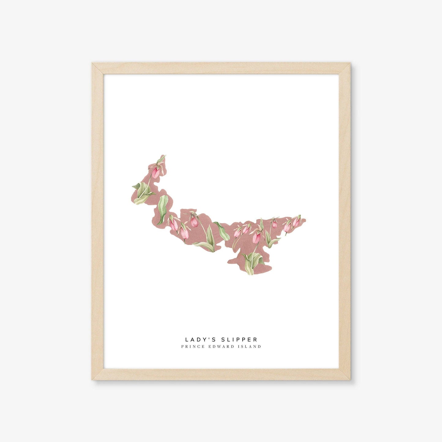 Natasha Vanderburg Co. - Prince Edward Island Lady's Slipper Art Print - Agricola Street Books