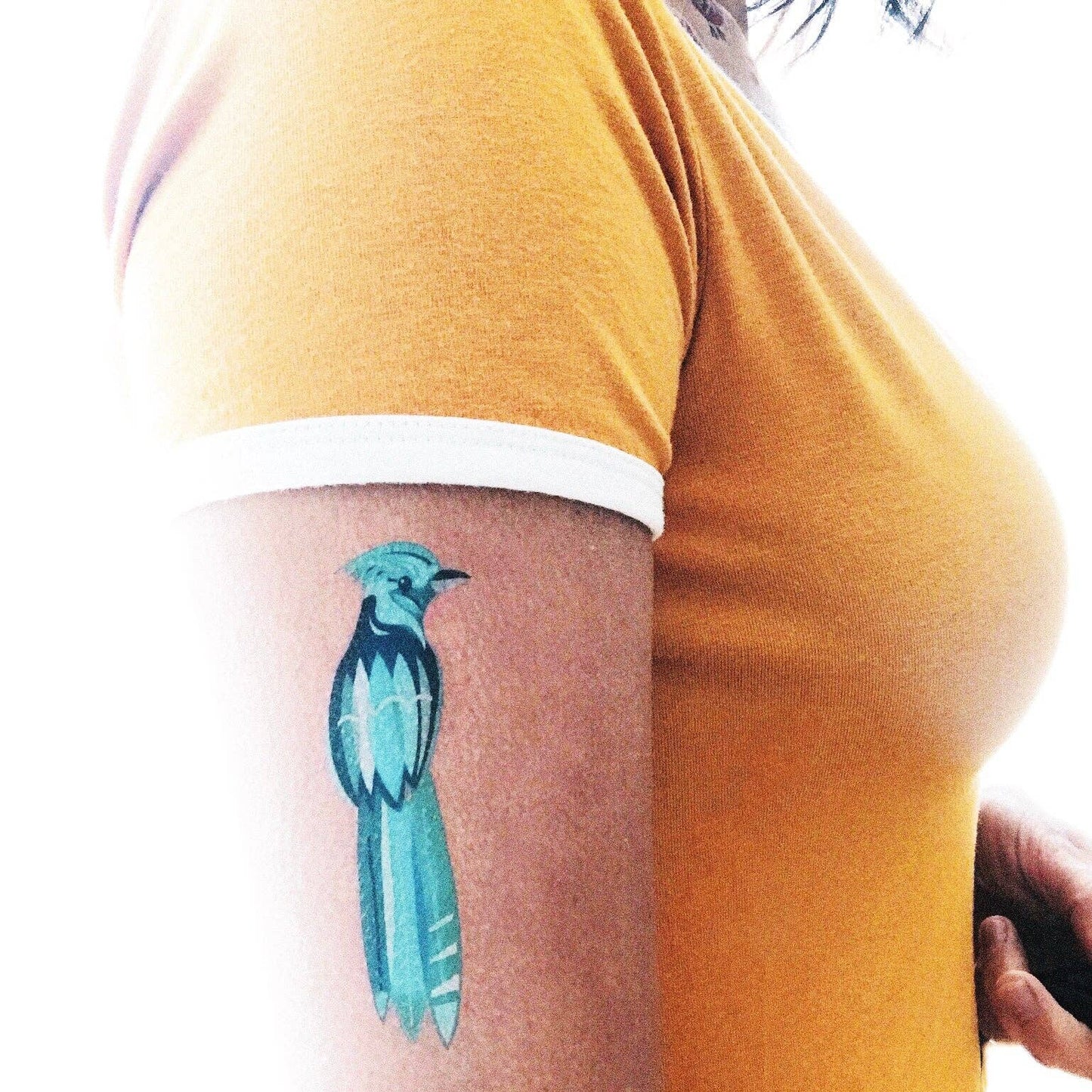 Les Tatoués - Birds - Temporary Tattoos