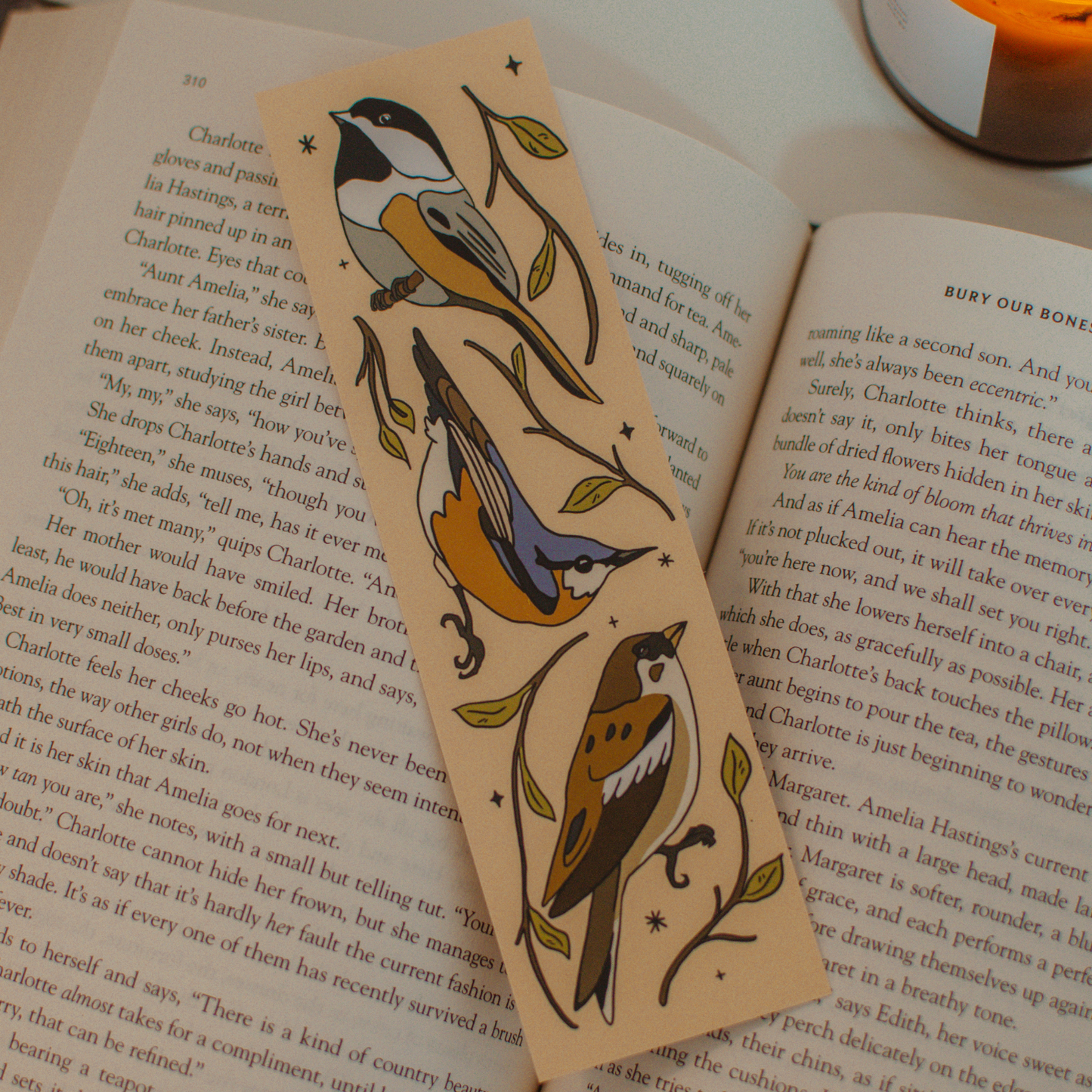 Brush + Bird Paper Co. - Canadian Birds Bookmark | Illustrated Backyard Bird Design