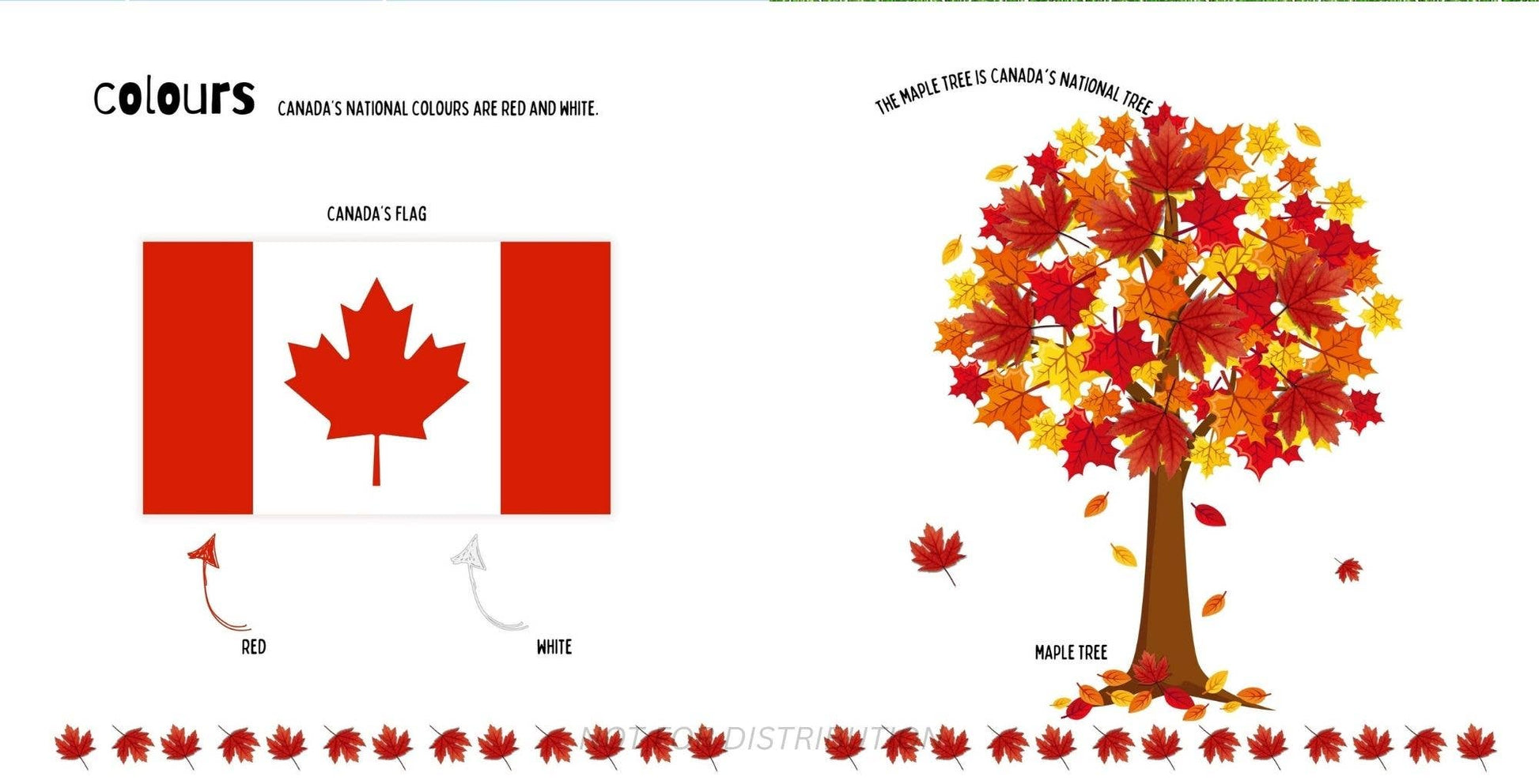 Doodle Paw Press - The Most Canadian Baby Book Ever Eh! Canada Theme Baby Book - Agricola Street Books