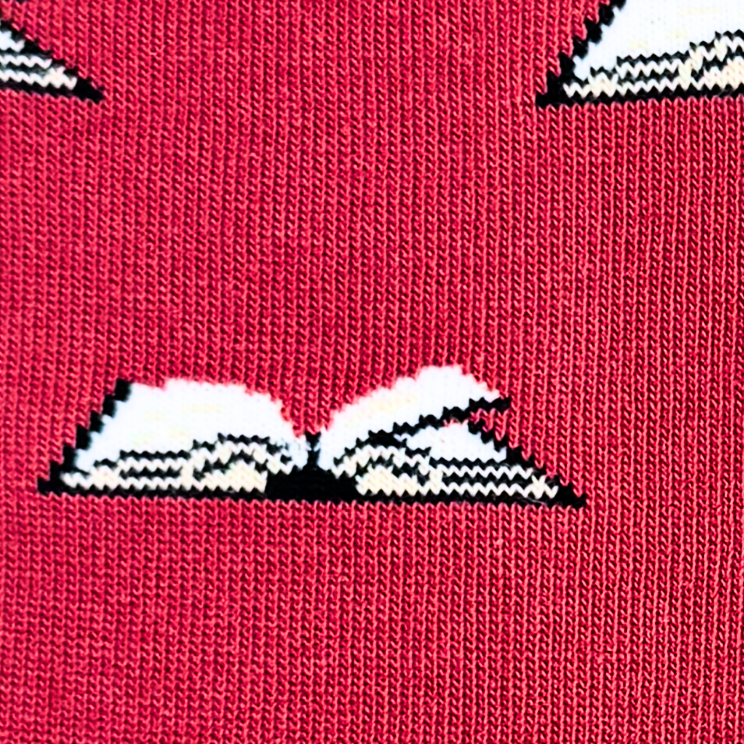 Friday Sock Co. - Women's Library Crew Socks - Book Lover Book Club Gift