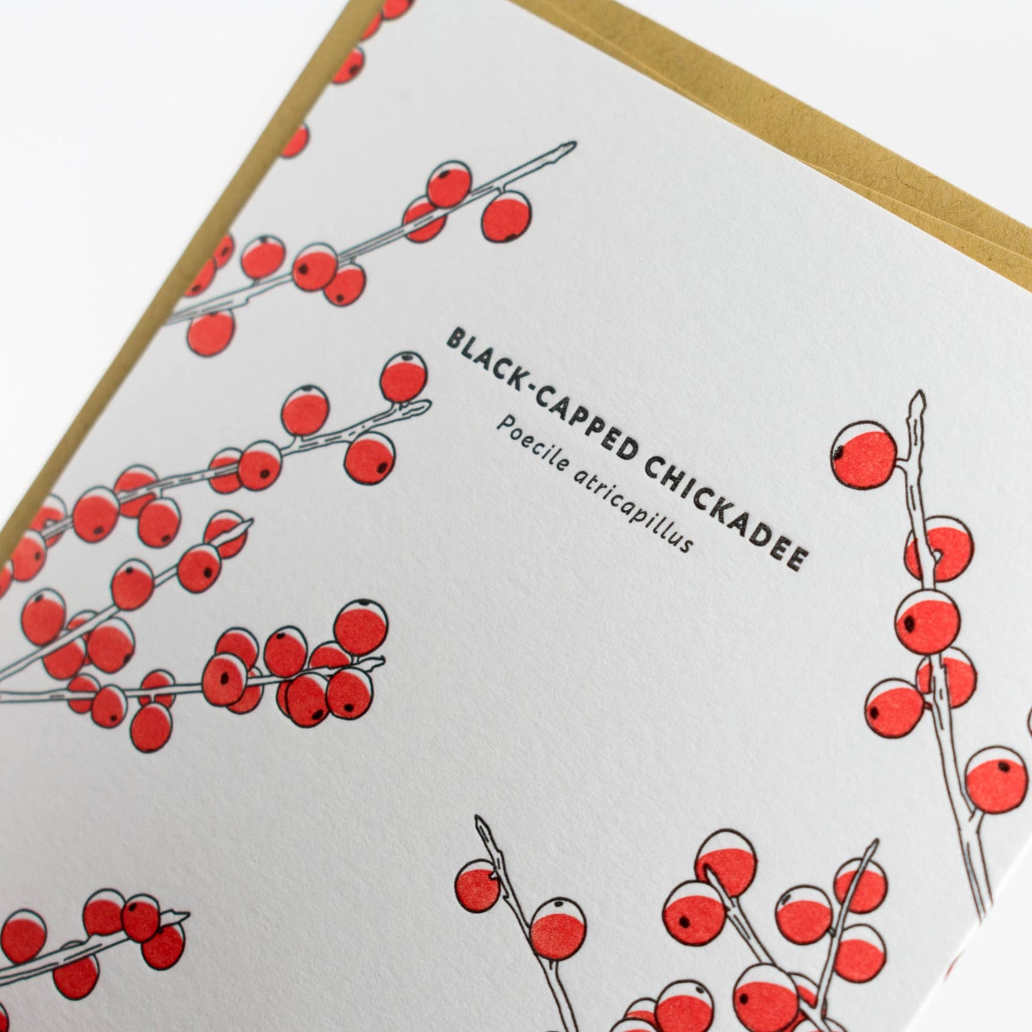 Porchlight Press Letterpress - Black-capped Chickadee Card