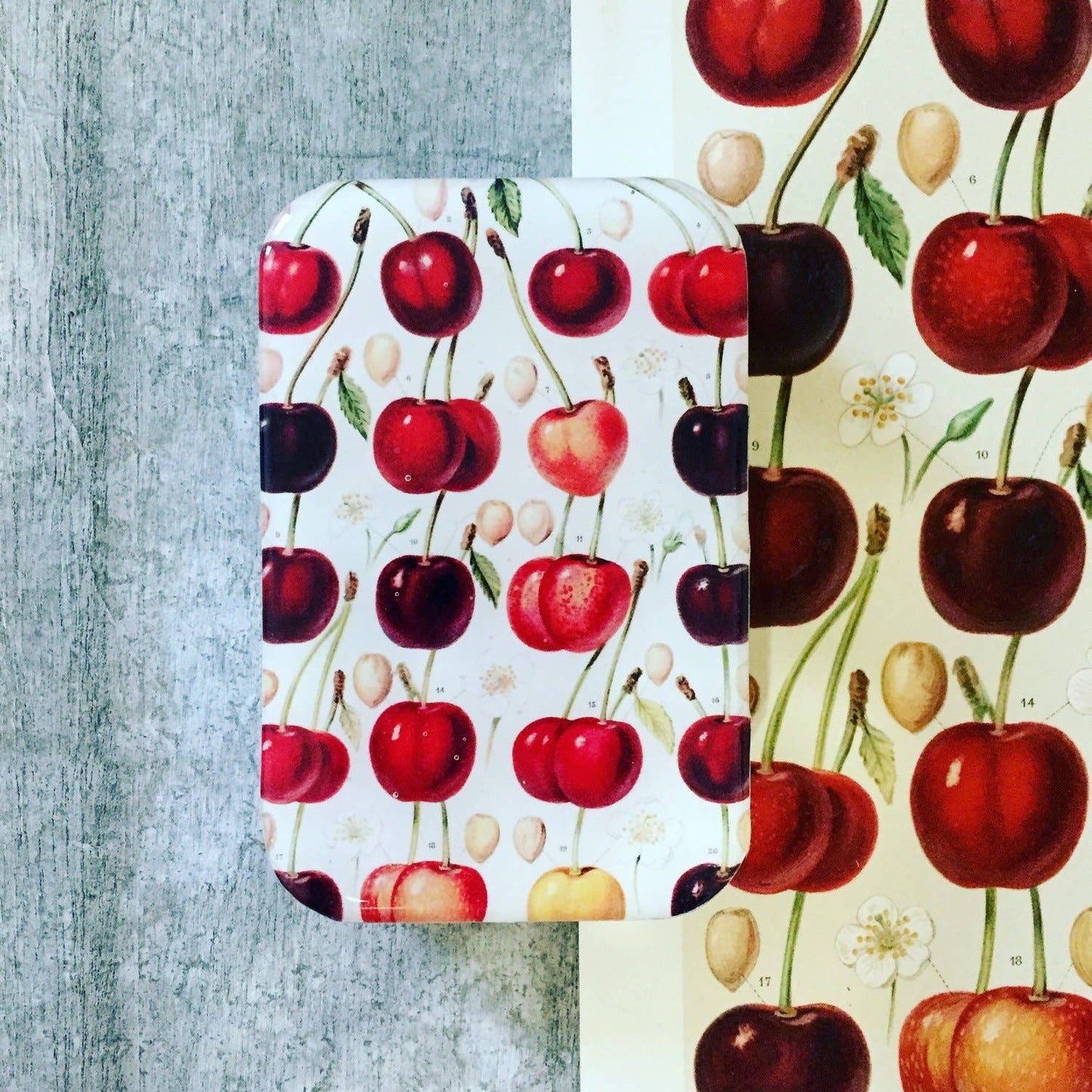 Firefly Notes - Cherry Storage Tin