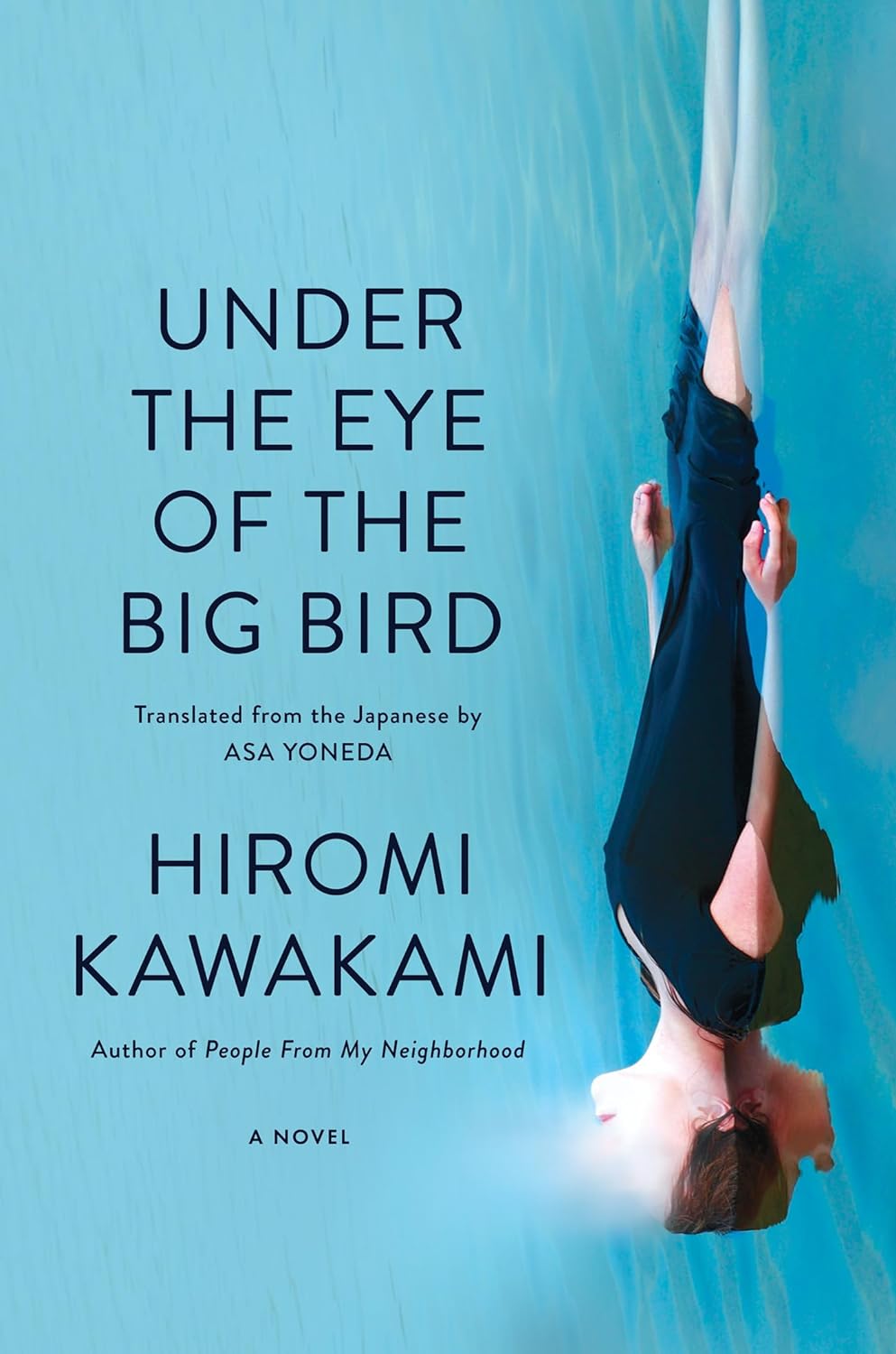 Under the Eye of the Big Bird - Agricola Street Books