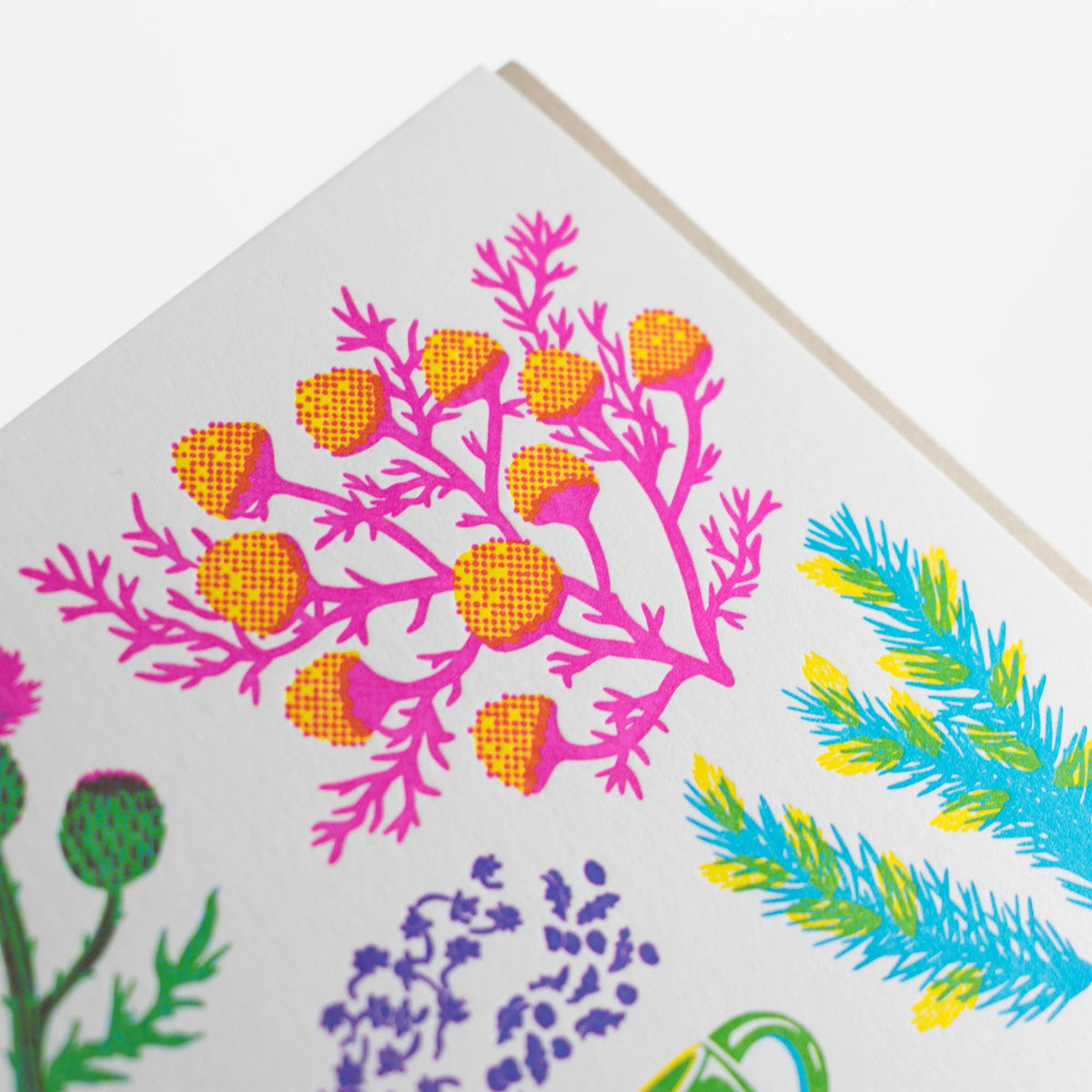 Porchlight Press Letterpress - Vibrant Life Series - Herbal Tea Card
