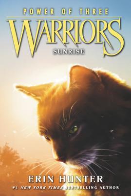 Sunrise (Warriors: Power of Three #6) - Agricola Street Books
