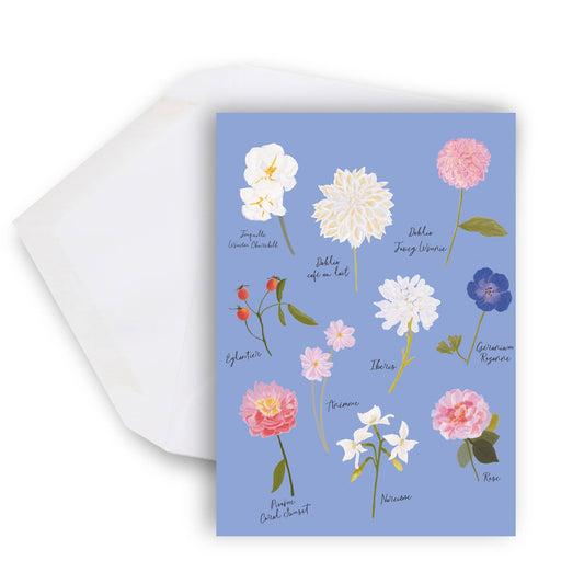 Lili Graffiti - Botany - Maxi greeting card - Agricola Street Books