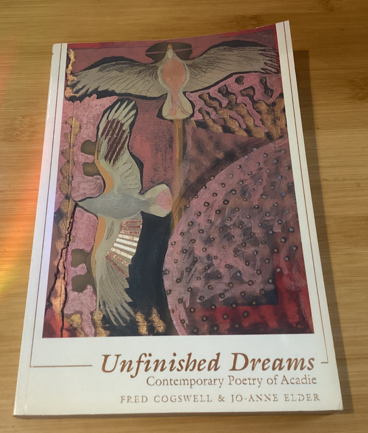 Unfinished Dreams - Agricola Street Books