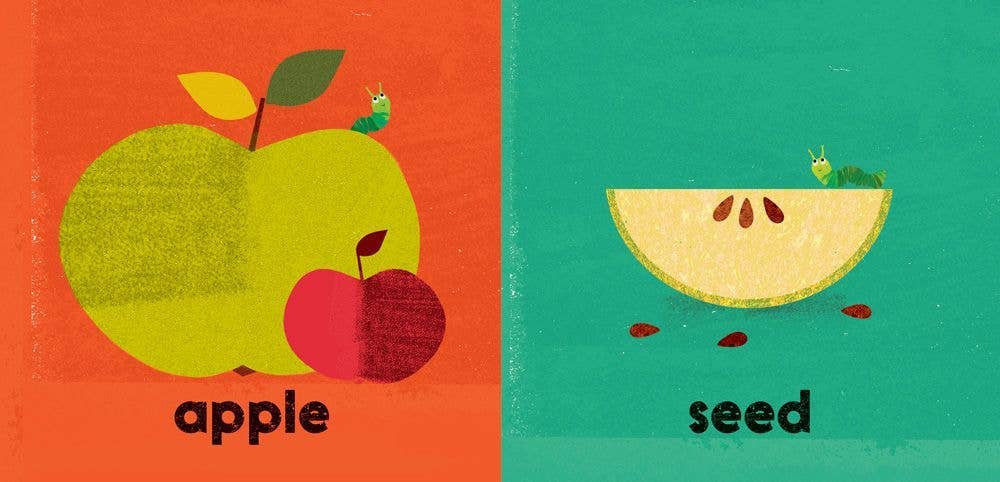 Big and Small: Board Book - Barefoot Books - Agricola Street Books