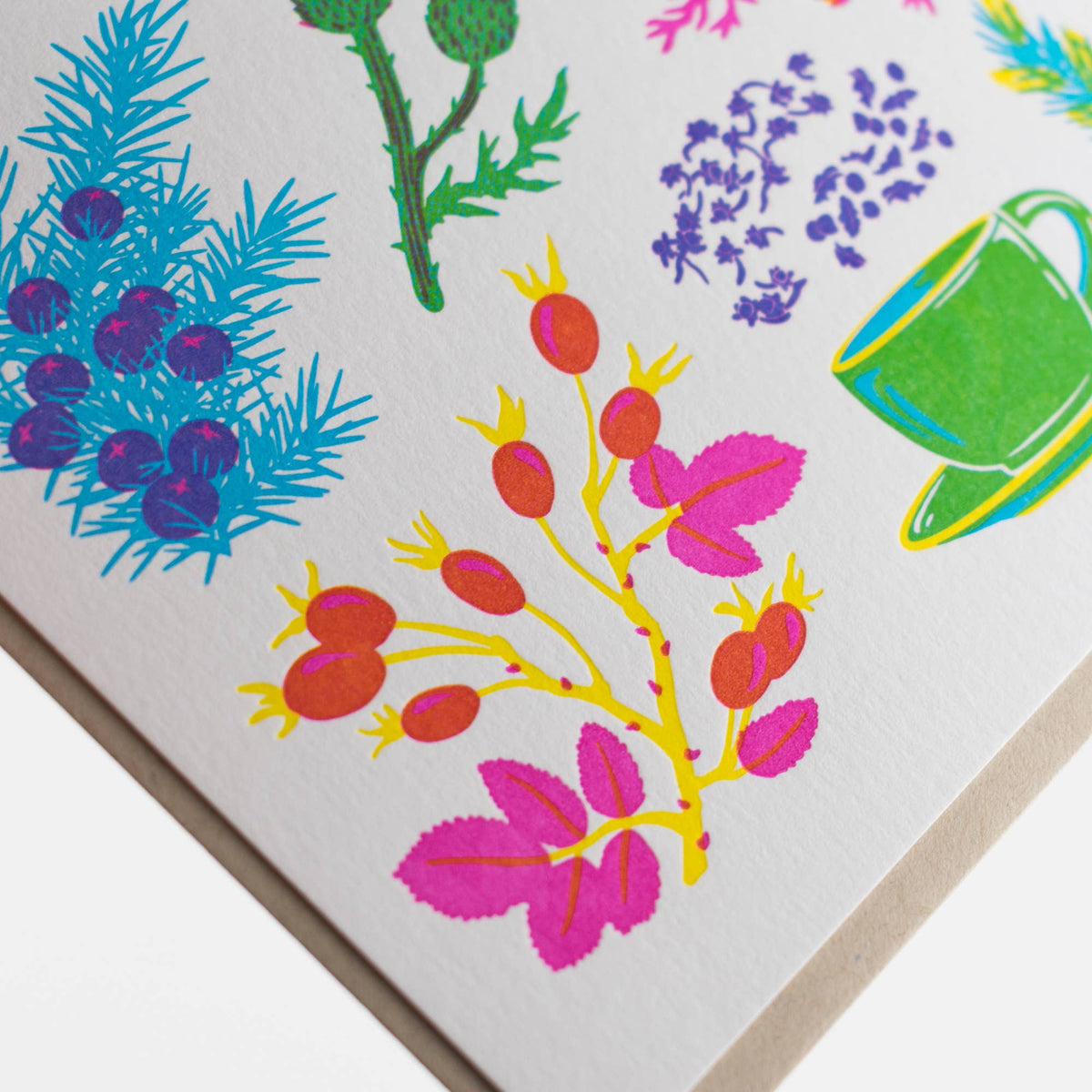 Porchlight Press Letterpress - Vibrant Life Series - Herbal Tea Card
