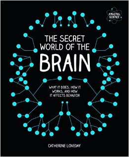 The Secret World of the Brain