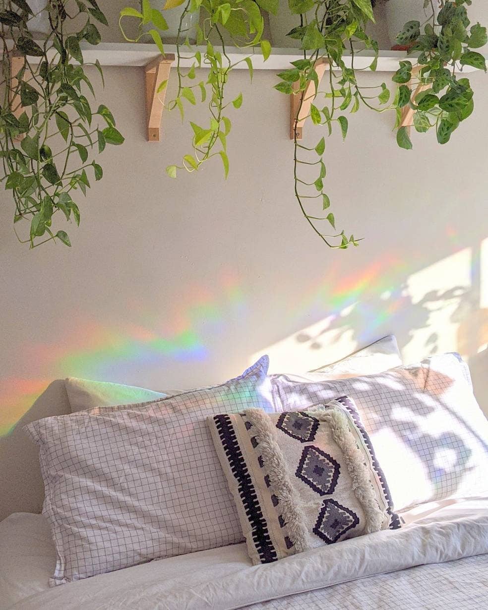 Prismatic Kitty - Whale Suncatcher Sticker | Window Cling | Coastal Decor