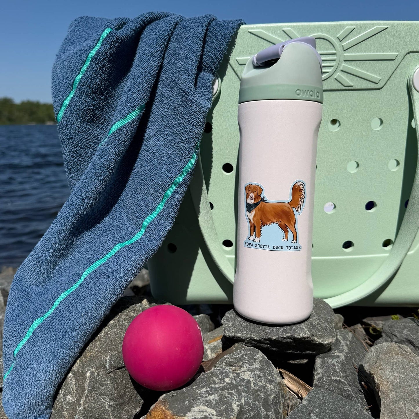 Bayside by Sam - Nova Scotia Duck Toller 3" Vinyl Sticker