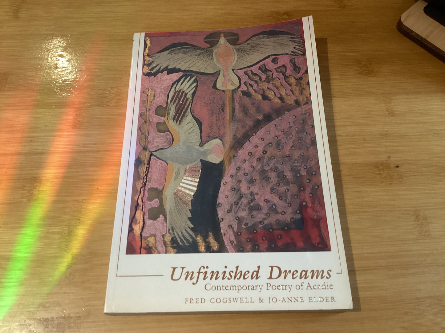 Unfinished Dreams - Agricola Street Books
