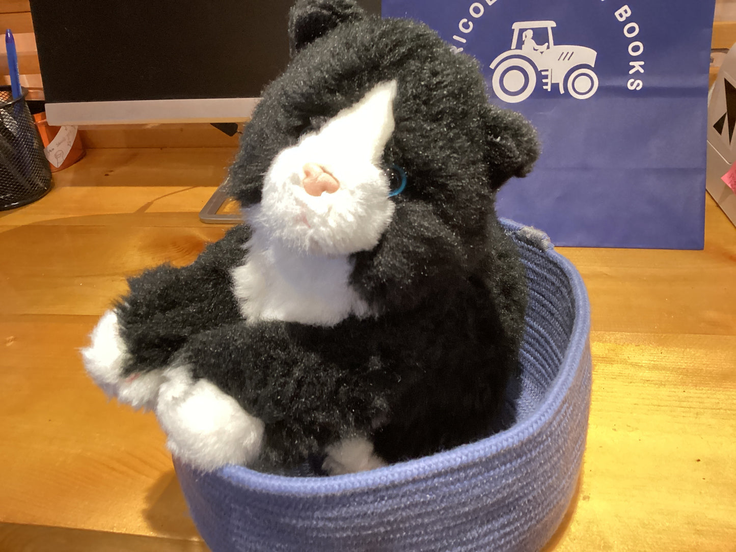 Small Stuffed Animal