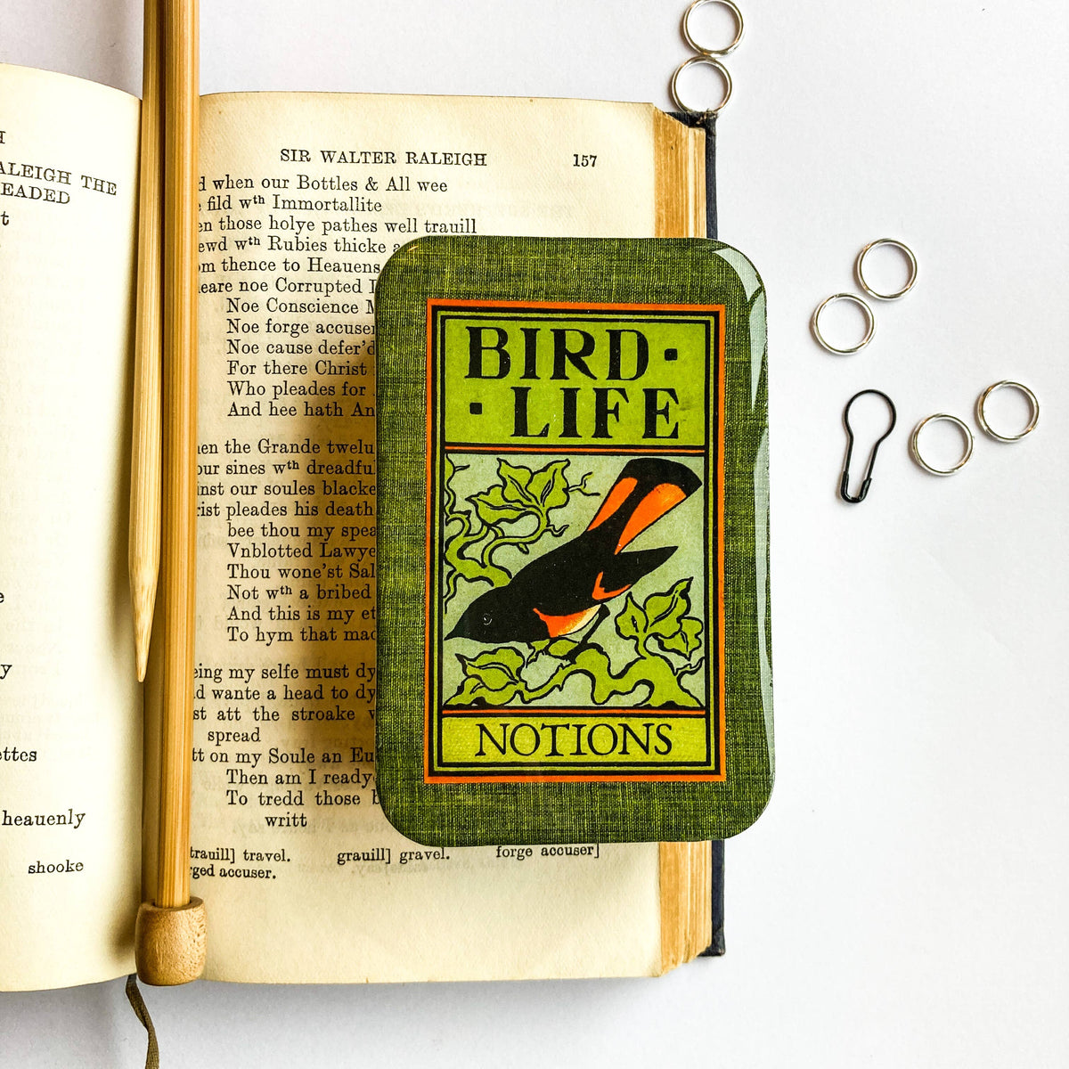 Firefly Notes - Bird life notions tin