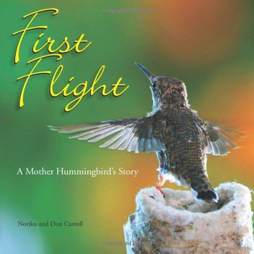 First Flight - Agricola Street Books