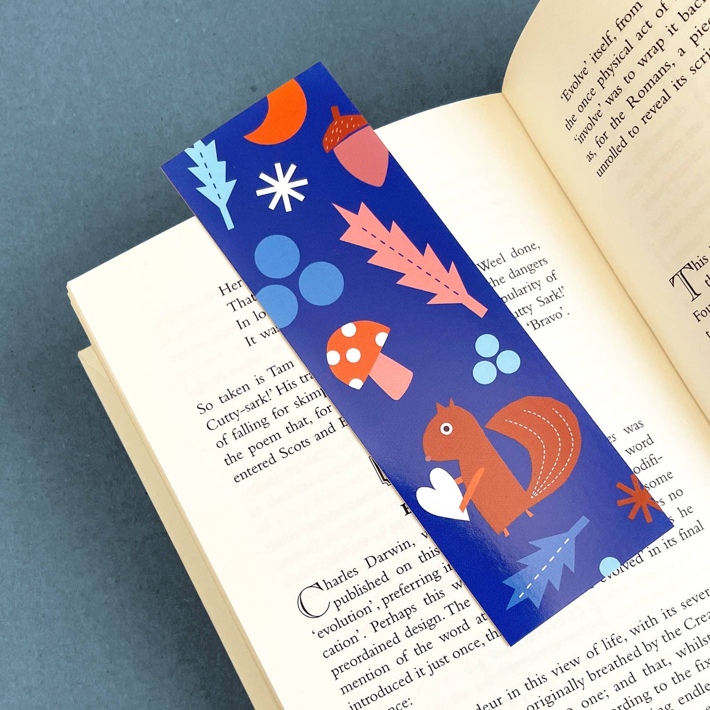 Kautzi Illustrations - Bookmark Squirrel