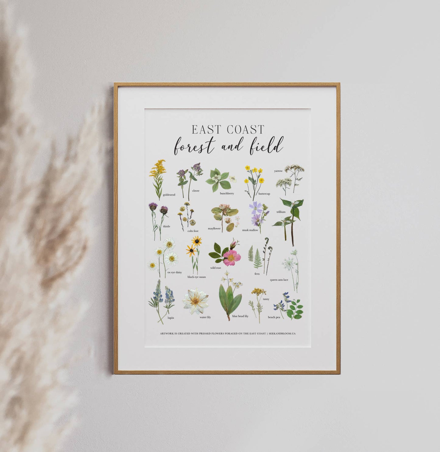 Seek & Bloom Creative Co. - Forest and Field, East Coast Wildflowers, Art Print 8x10