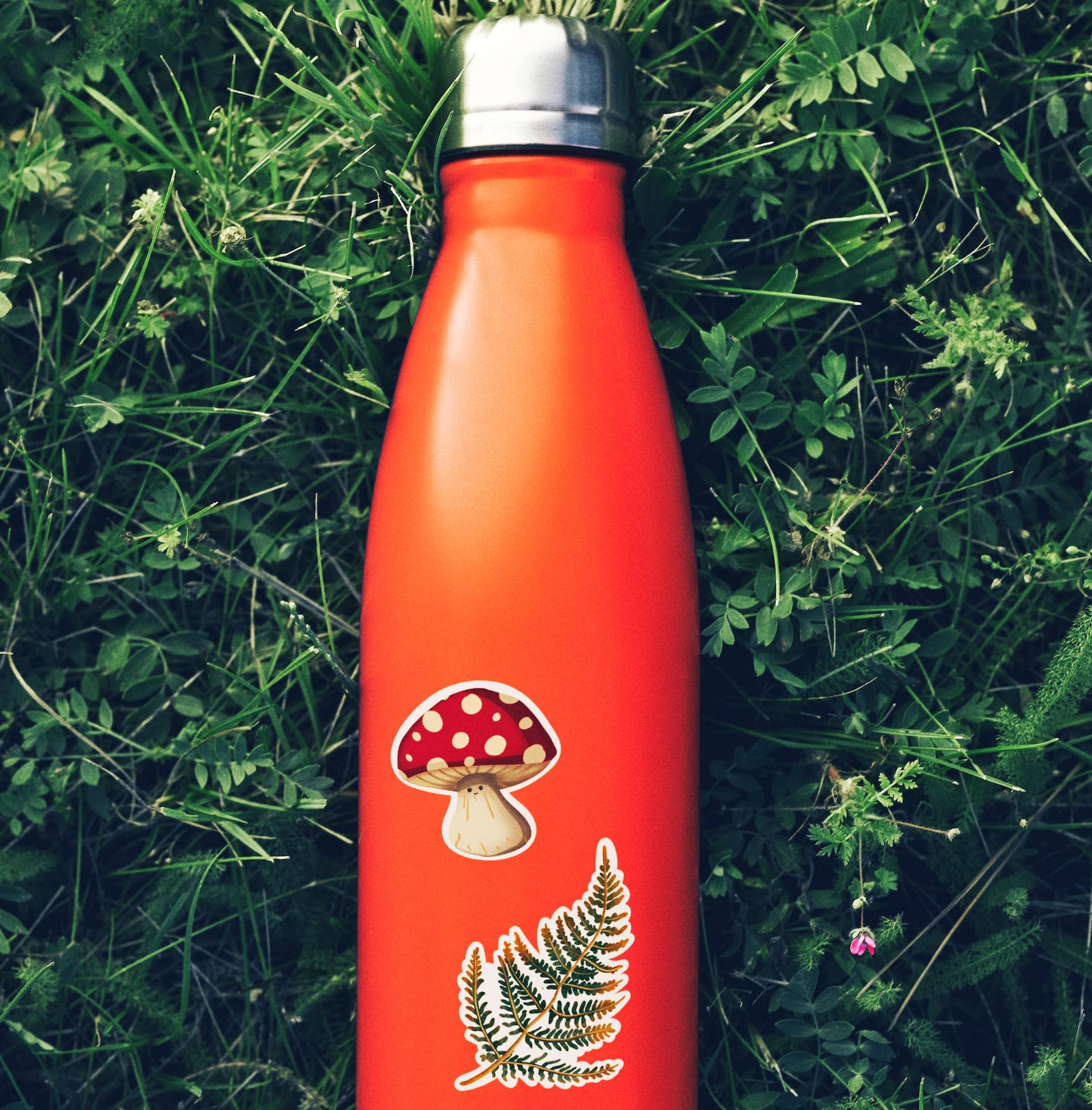 Les Tatoués - Mushrooms Stickers - Agricola Street Books