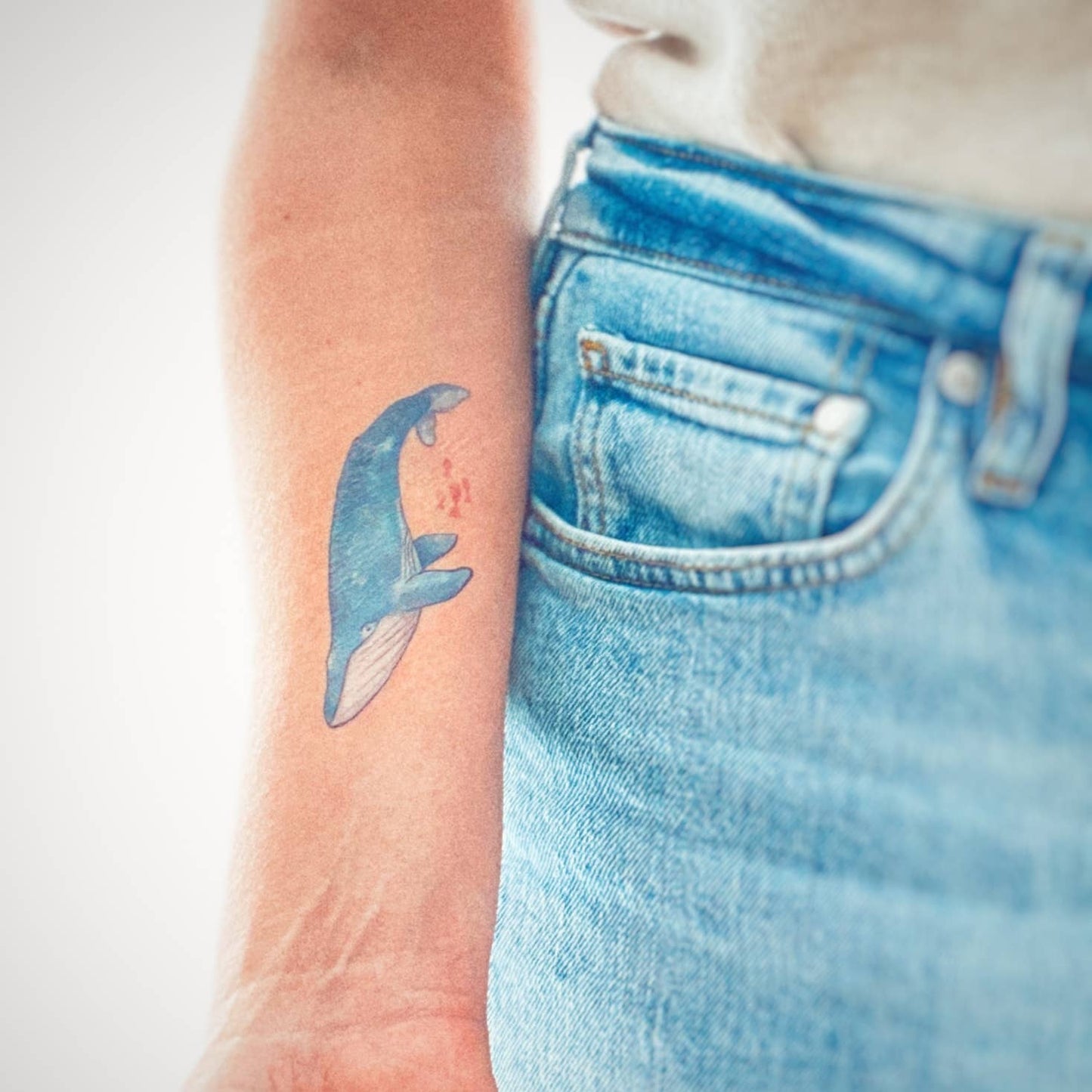Les Tatoués - Whales - Temporary tattoos - Agricola Street Books