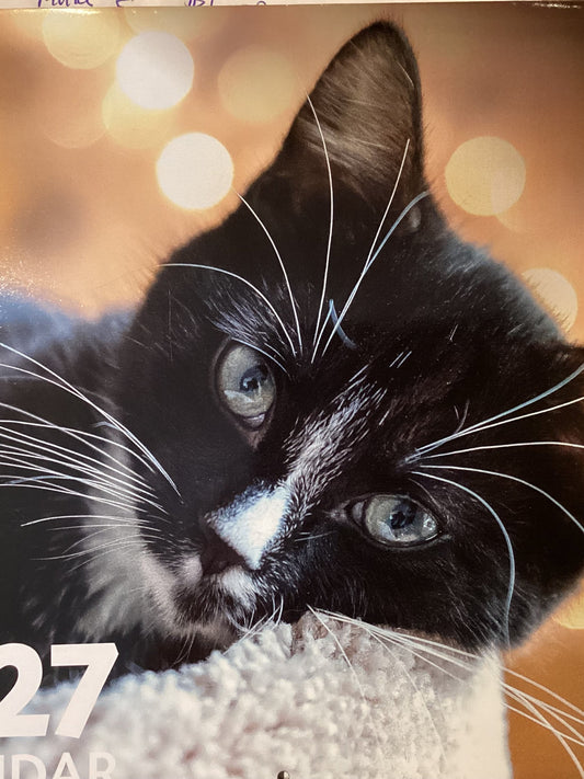 Bide Awhile 2027 Calendars(tax-free)