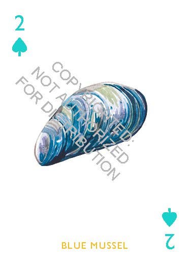 Ocean Playing Cards