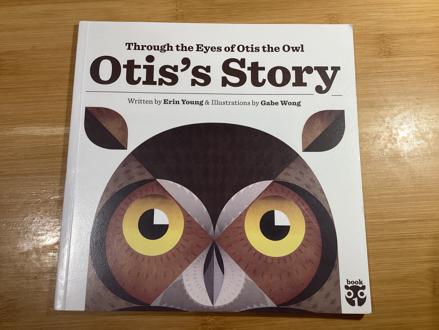 Otis's Story-Through the Eyes of Otis the Owl - Agricola Street Books