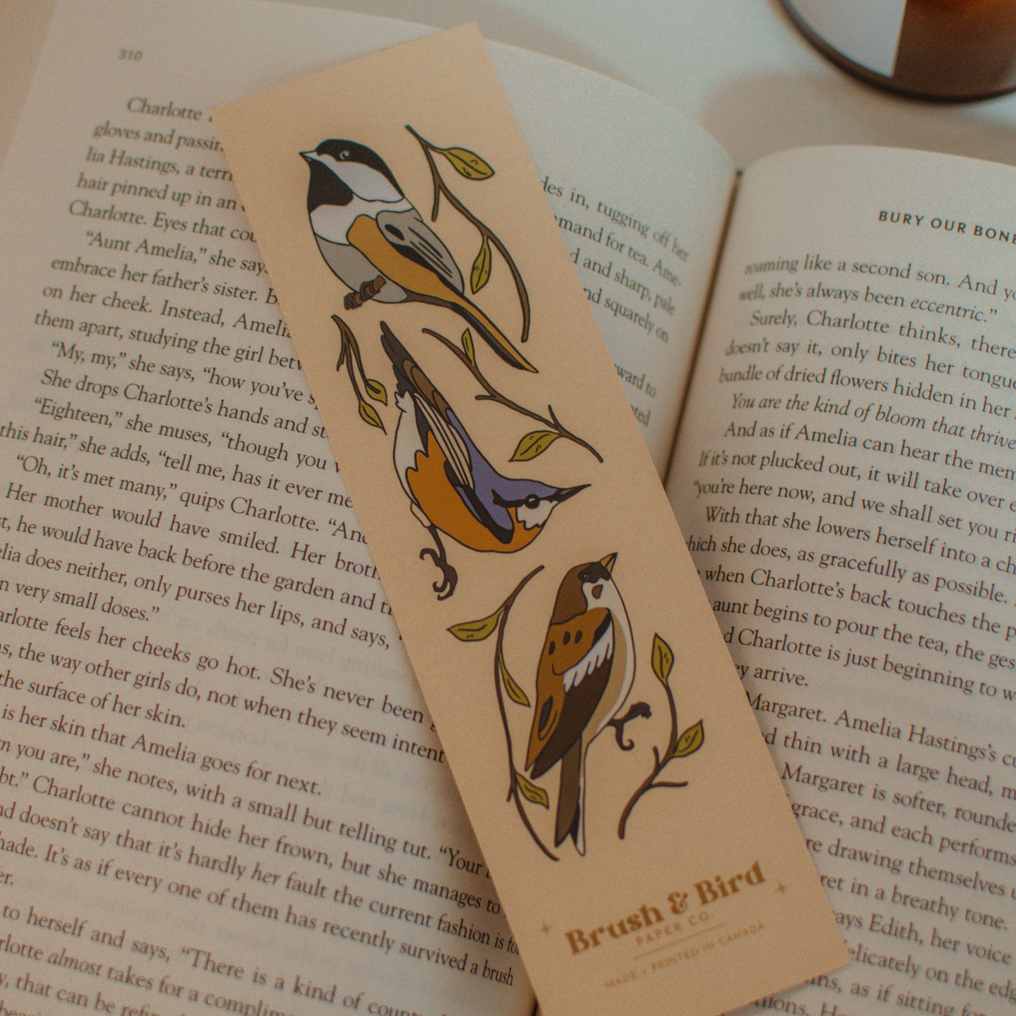 Brush + Bird Paper Co. - Canadian Birds Bookmark | Illustrated Backyard Bird Design