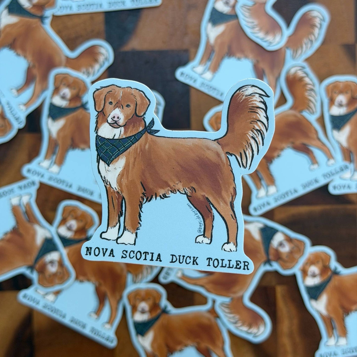 Bayside by Sam - Nova Scotia Duck Toller 3" Vinyl Sticker