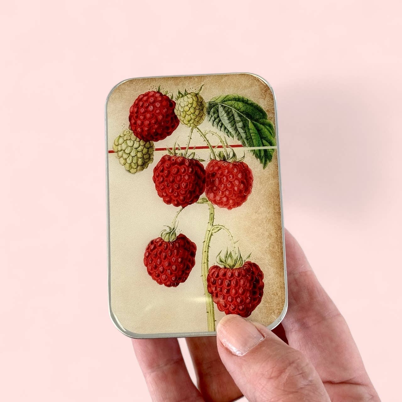 Firefly Notes - Raspberry LARGE, Notions tin, Stitch marker tin