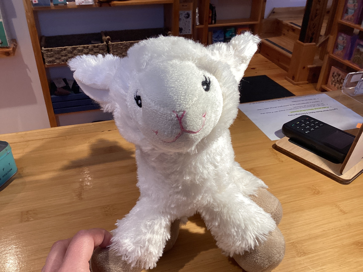 Medium Stuffed Animal