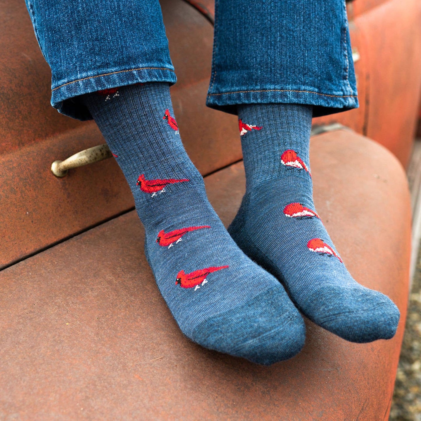 Friday Sock Co. - Merino Wool Socks | Cardinal & Robin | Cool Men's Socks