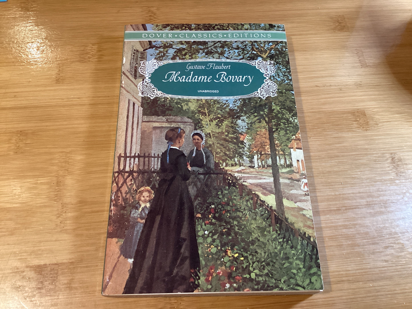 Madame Bovary - Agricola Street Books