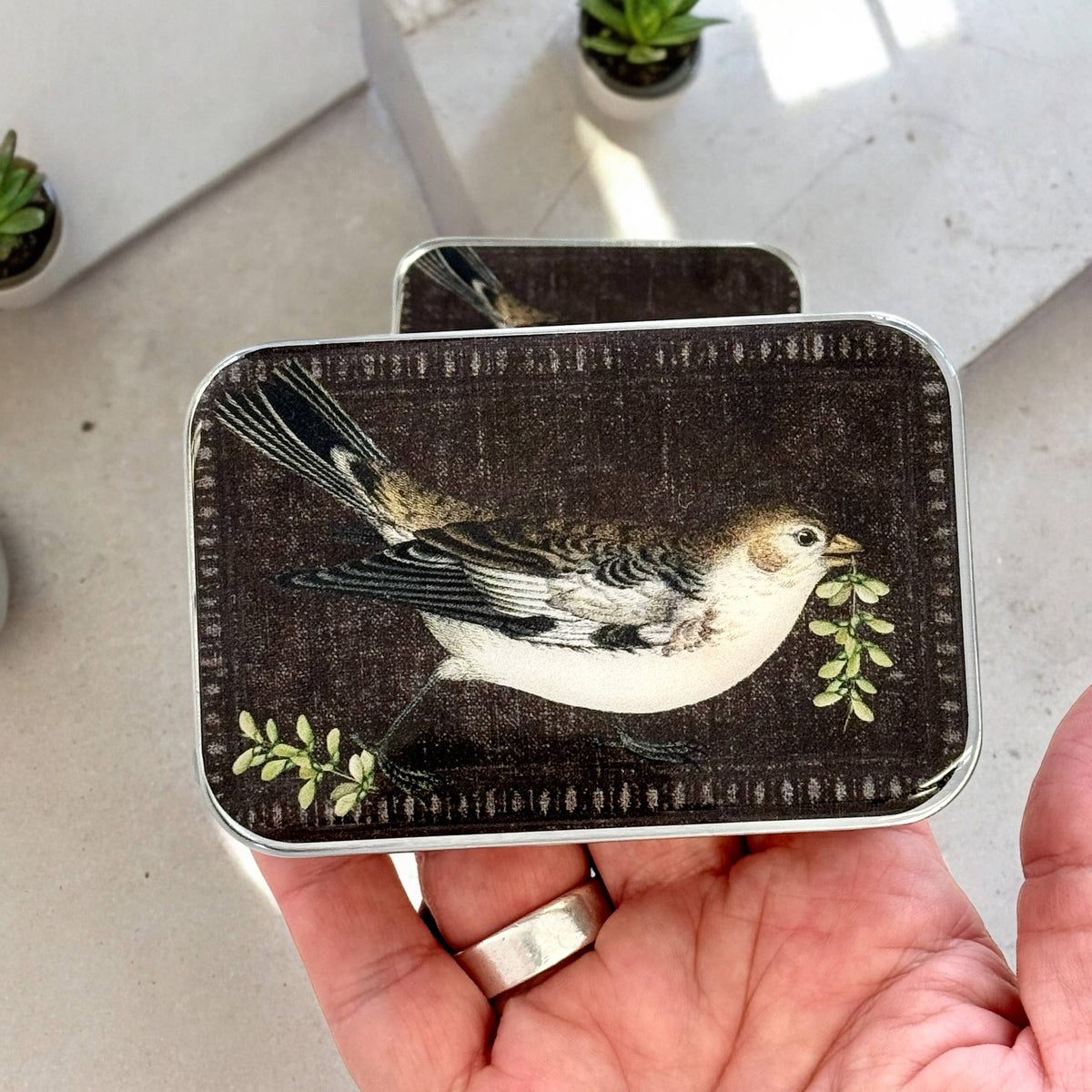Firefly Notes - Birdsong Notions Tin